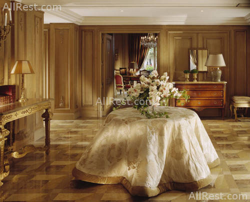 Hotel Plaza Athenee 18